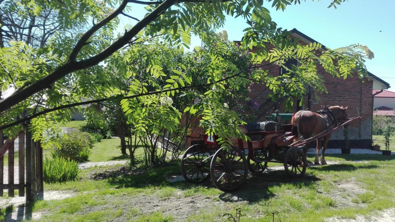 Swieze Poddasze U Przybyszow Andruszkowice Bagian luar foto
