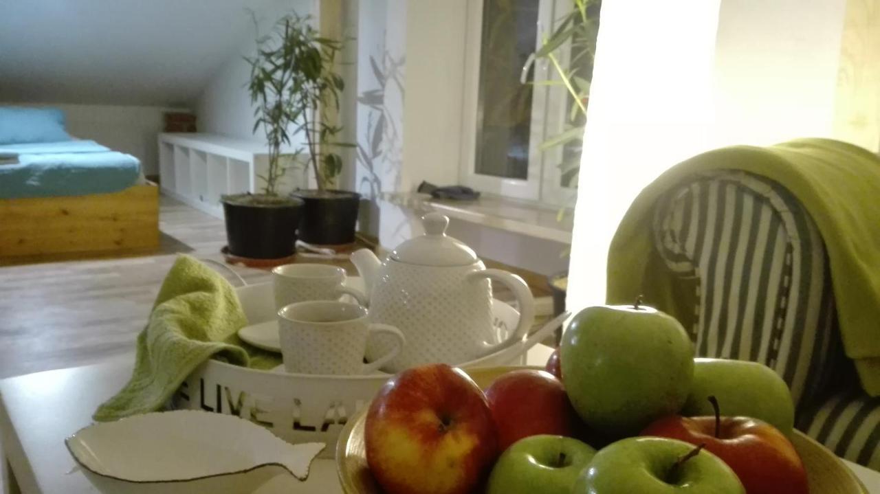 Swieze Poddasze U Przybyszow Andruszkowice Bagian luar foto